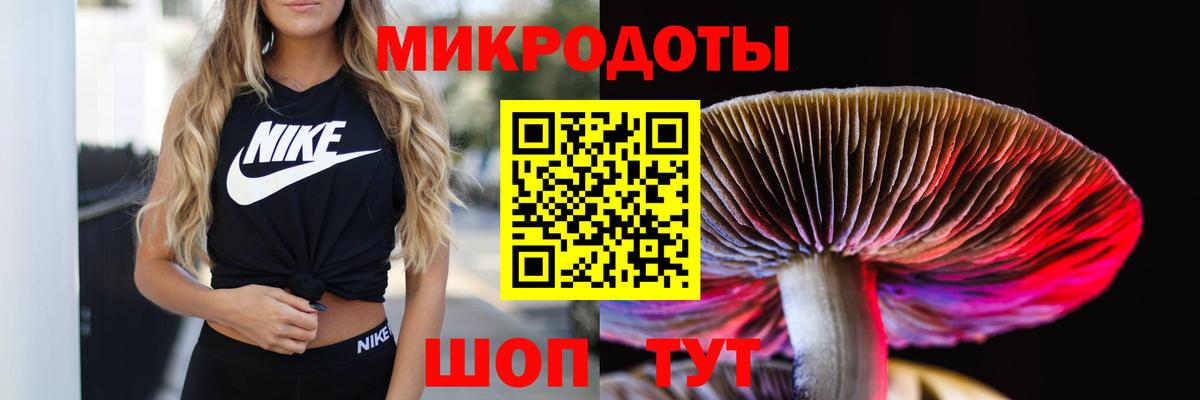 Благодарный  Галлюциногенные грибы Psilocybine cubensis  Вход с VPN 